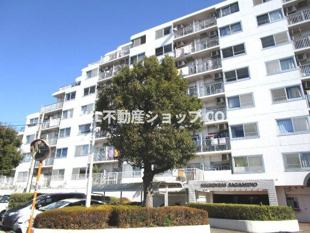 外観：314002513314