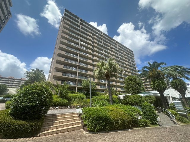 外観：314002671010