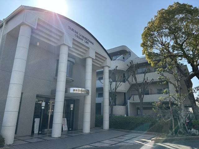 外観：328000589930