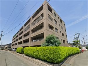 外観：343000068739