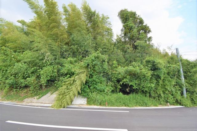 外観：346000039985