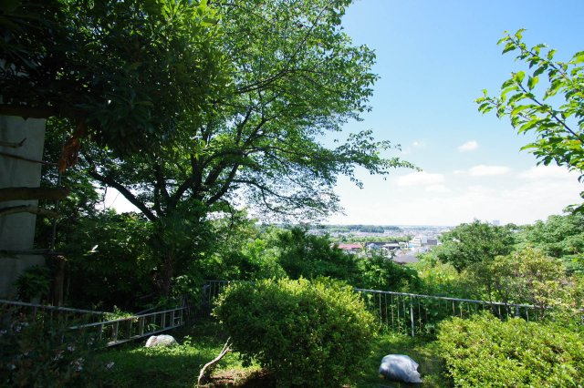 ふじみ公園