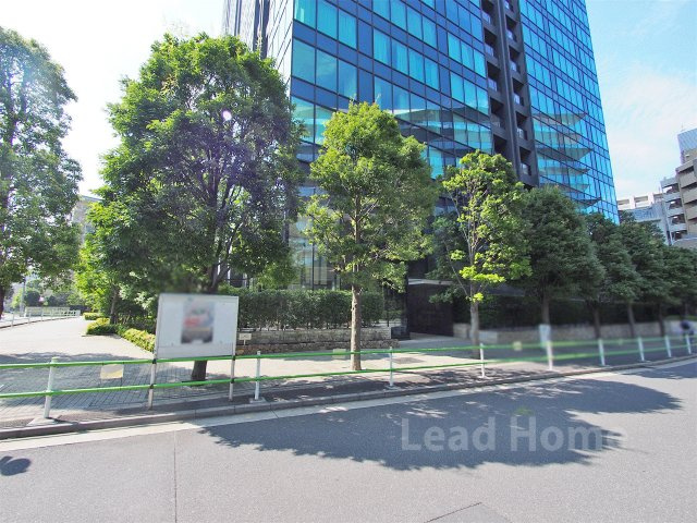 街路樹が整備された歩きやすい前面道路です！見通しも良好で小さなお子様とのお出かけや散歩も安心ですね♪