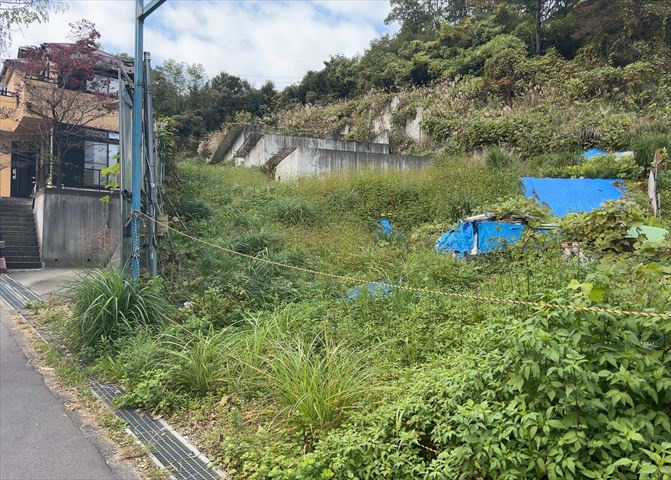 外観：313003980660