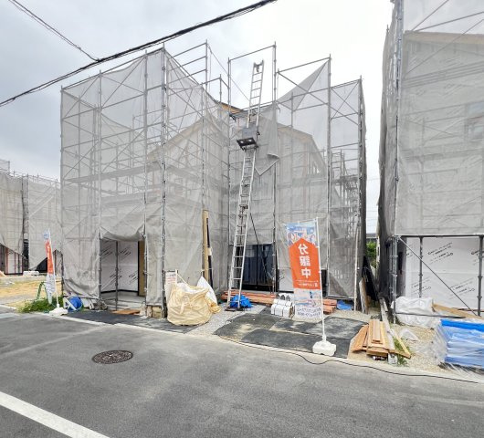 2026年7月30日撮影