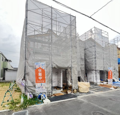 2026年7月30日撮影