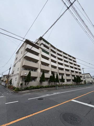 外観：313004773253