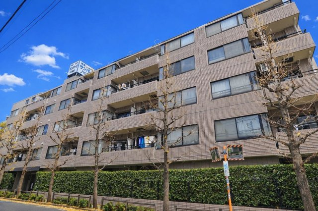 外観：313004649084