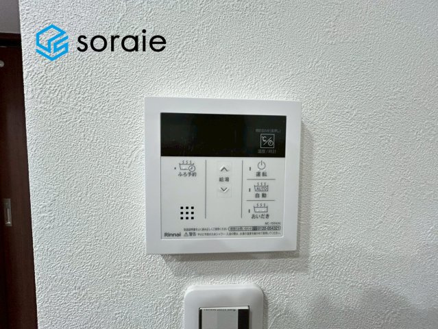 1月20日撮影