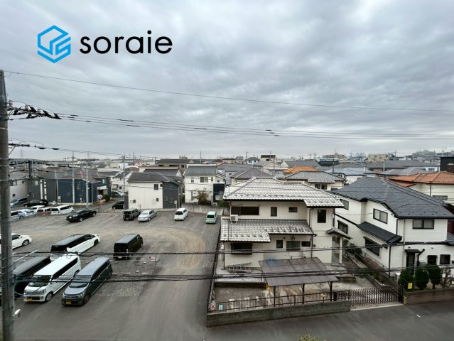 1月20日撮影