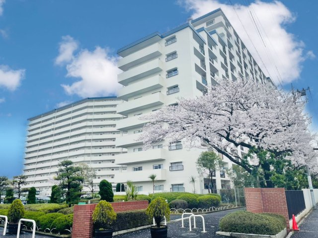 現況写真