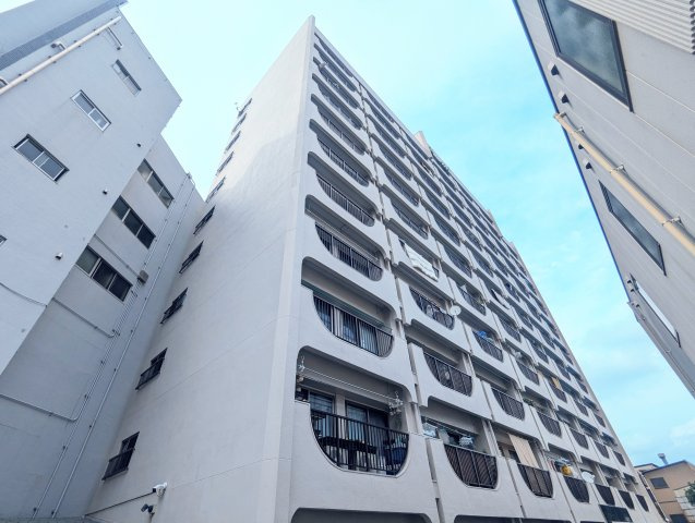 外観：313004808667