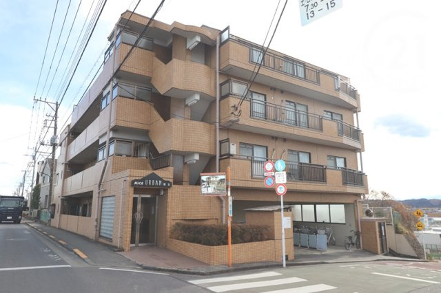 外観：313004684696