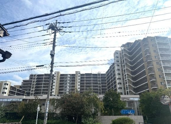 外観：311002266066