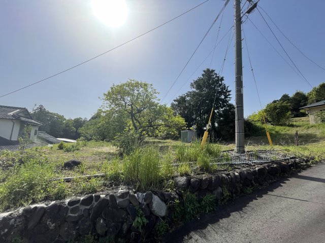 外観：343000061577