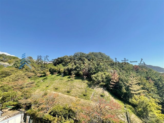 緑豊かでのどかな環境です♪