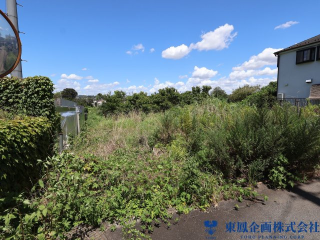撮影日：令和8年8月