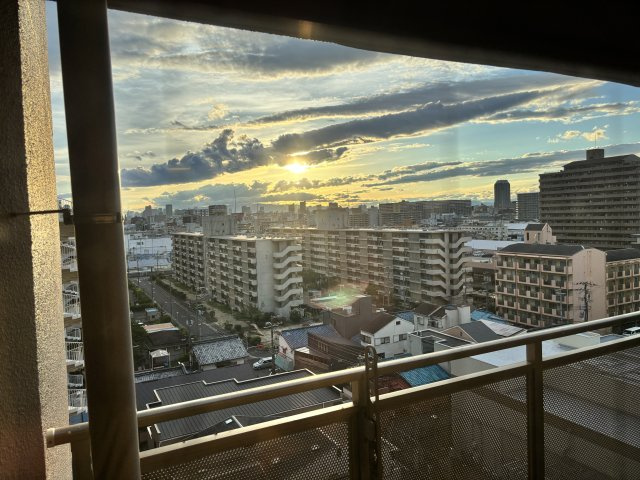 展望