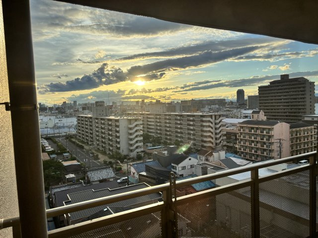 展望