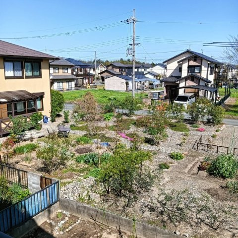 展望