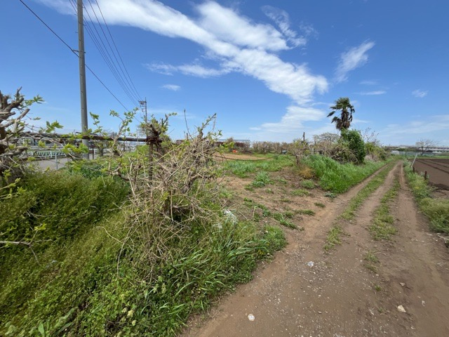 物件の詳細については、現地を見てわかること以外に、役所や法務局などで調べないとわからないことがあります。そのため、現地に行く場合は、もしこの物件を買ったらどのような生活ができるかをイメージしましょう。