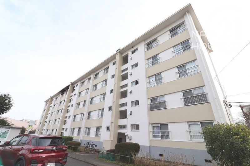 外観：313004685127