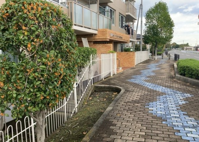中庭（パティオ）とは、一つの建築物の内部に設けられた、壁などで囲われている庭のことを指します。コの字型、ロの字型が主流ですが、L字型の中庭もあります。最近では、インテリア性の高さからも人気があります。