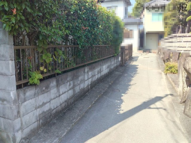 前面道路含む現地写真