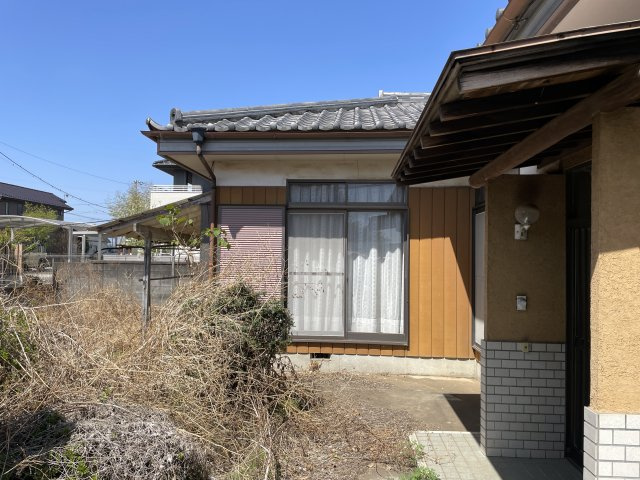 庭