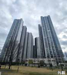 外観：313004549811