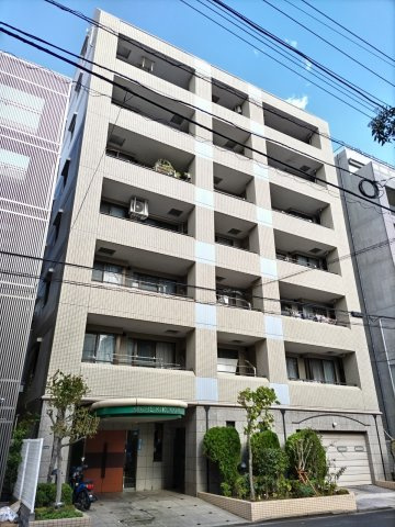 外観：313004563954