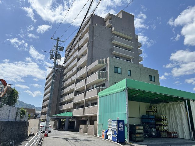 外観：334000245729