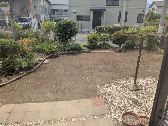 庭
