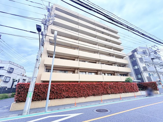 外観：313004694379