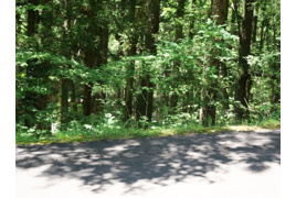 荘川ビレッジ④の外観