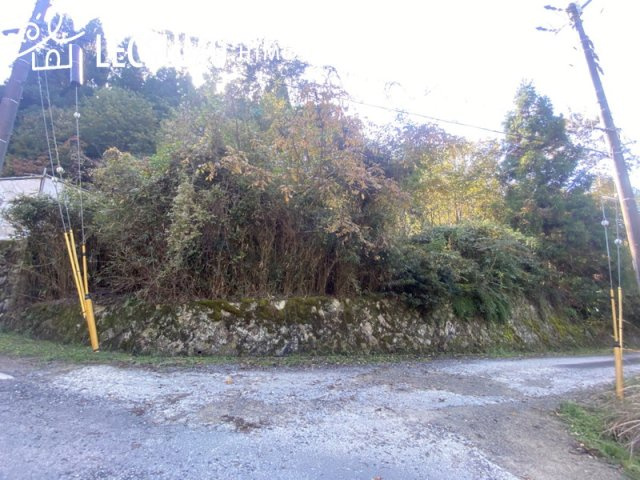 外観：328000607349