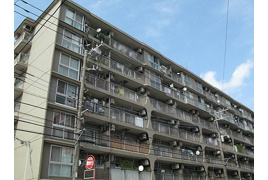 大和ハイデンスの外観