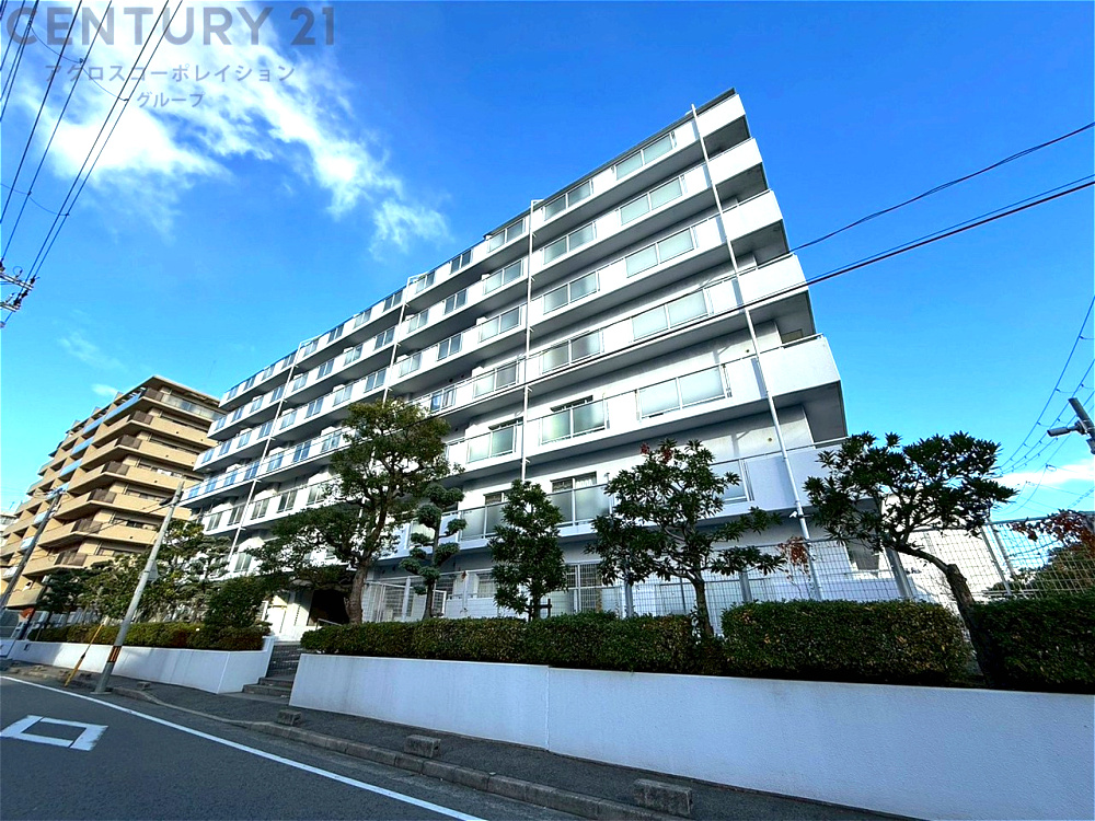 外観：328000599861