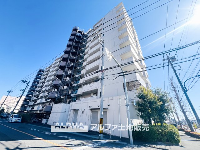 外観：313004644996