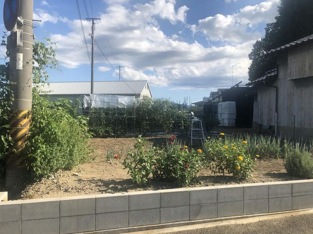 外観：328000618465