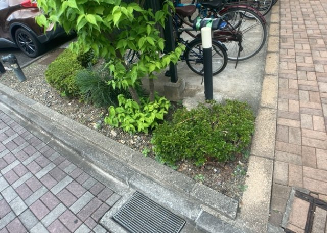 建物内の共用空間は管理体制が整っており、心地よい生活環境が維持されています。総戸数43戸の適度なコミュニティで快適にお暮らしいただけます。詳細や管理状況についてはぜひ現地でお確かめください。
