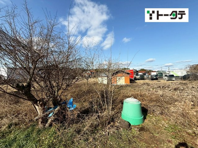 外観：334000226168