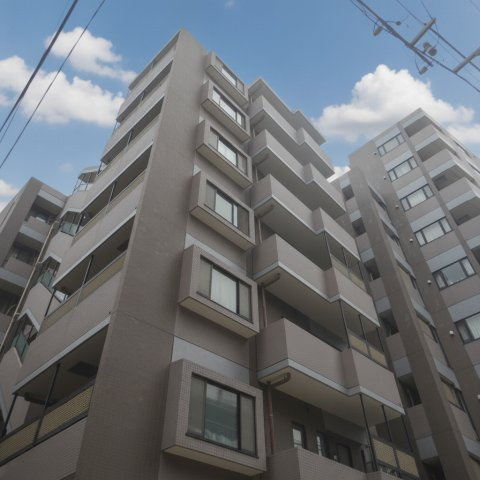 外観：313004776283
