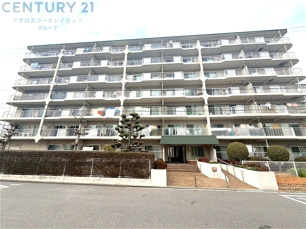 外観：328000596555