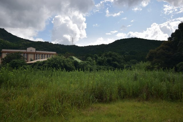 外観：346000040055