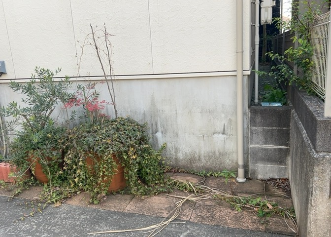 庭があることでガーデニングや家庭菜園はもちろん、こどもの遊び場やペットを放して遊ぶことができます。また、家の周囲に余裕があるということです。隣地との間があれば、十分な日当たりと、風通しが確保できます。