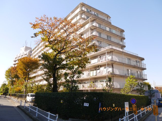 外観：313004762424