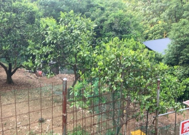 土地を買う際、住む地域の自治体や福祉の補助制度にも注目してみましょう。子供や老人の医療補助やゴミ出しのルールなど、自治体によってルールに大きな違いがあるため、暮らしやすい土地で判断するとよいでしょう。