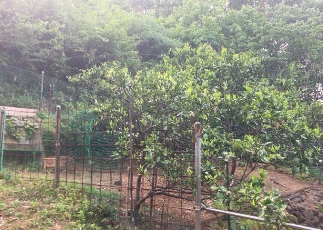 現地に行くなら、物件の周囲の地形がどうなっているかを見ることも大切です。周辺より低くなっている土地では、大雨などで水が集まりやすいため、地盤が弱くなっているということも考えられるため、注意が必要です。