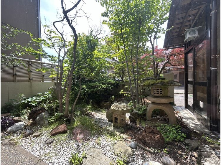 庭